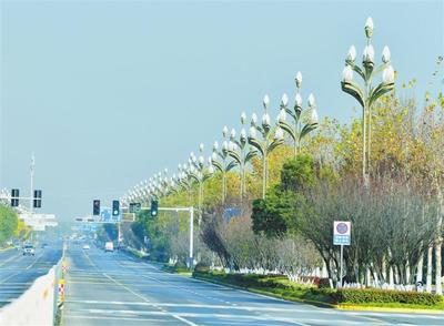 "白玉兰